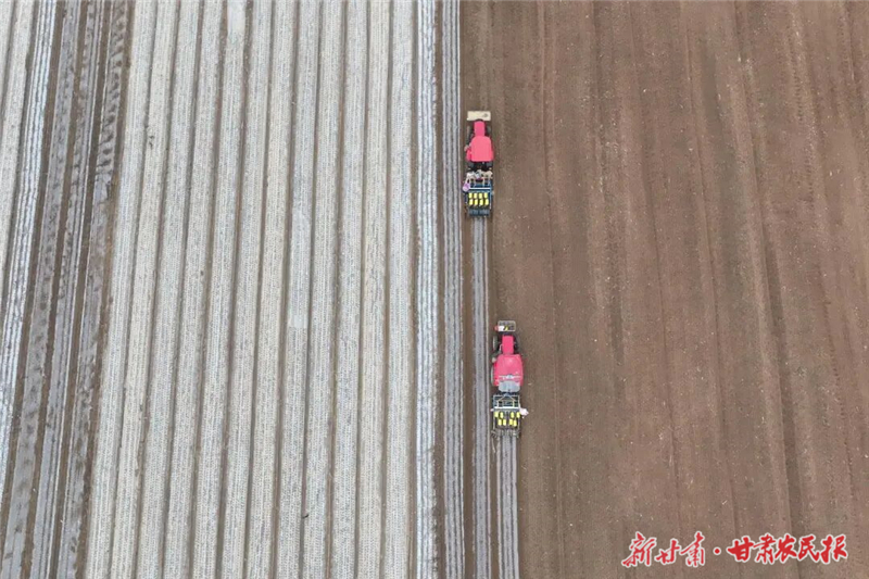 冬小麥播種正當(dāng)時 田間農(nóng)戶種糧忙