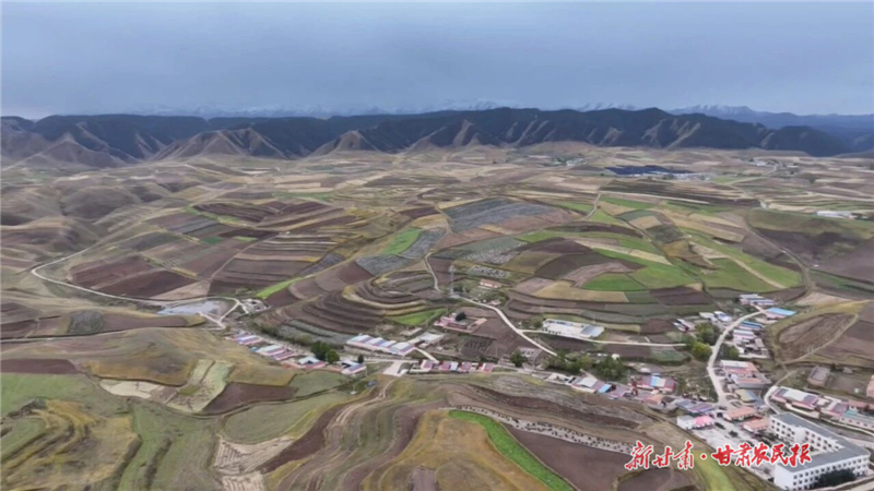 天祝：鄉(xiāng)村振興“有藥方”